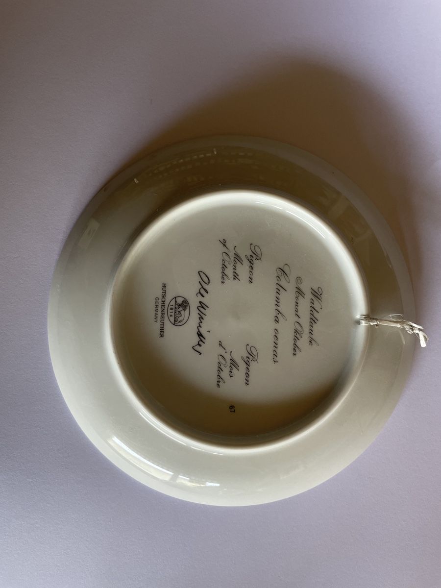 Hutschenreuther Piatti: Rosenthal Monats-Teller Oktober,D:16 – Usato da Schaffhausen venduto da Kolibri023 1