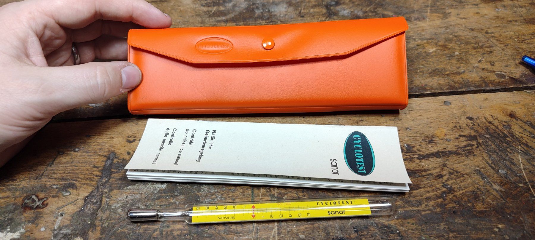Altro per la casa: Wunderschöner alter Zykluskontrollthermometer – Usato da Gelterkinden venduto da MYSTOREFORYOU4460