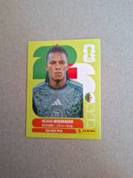 PANINI FIFA 2026 ALG 10