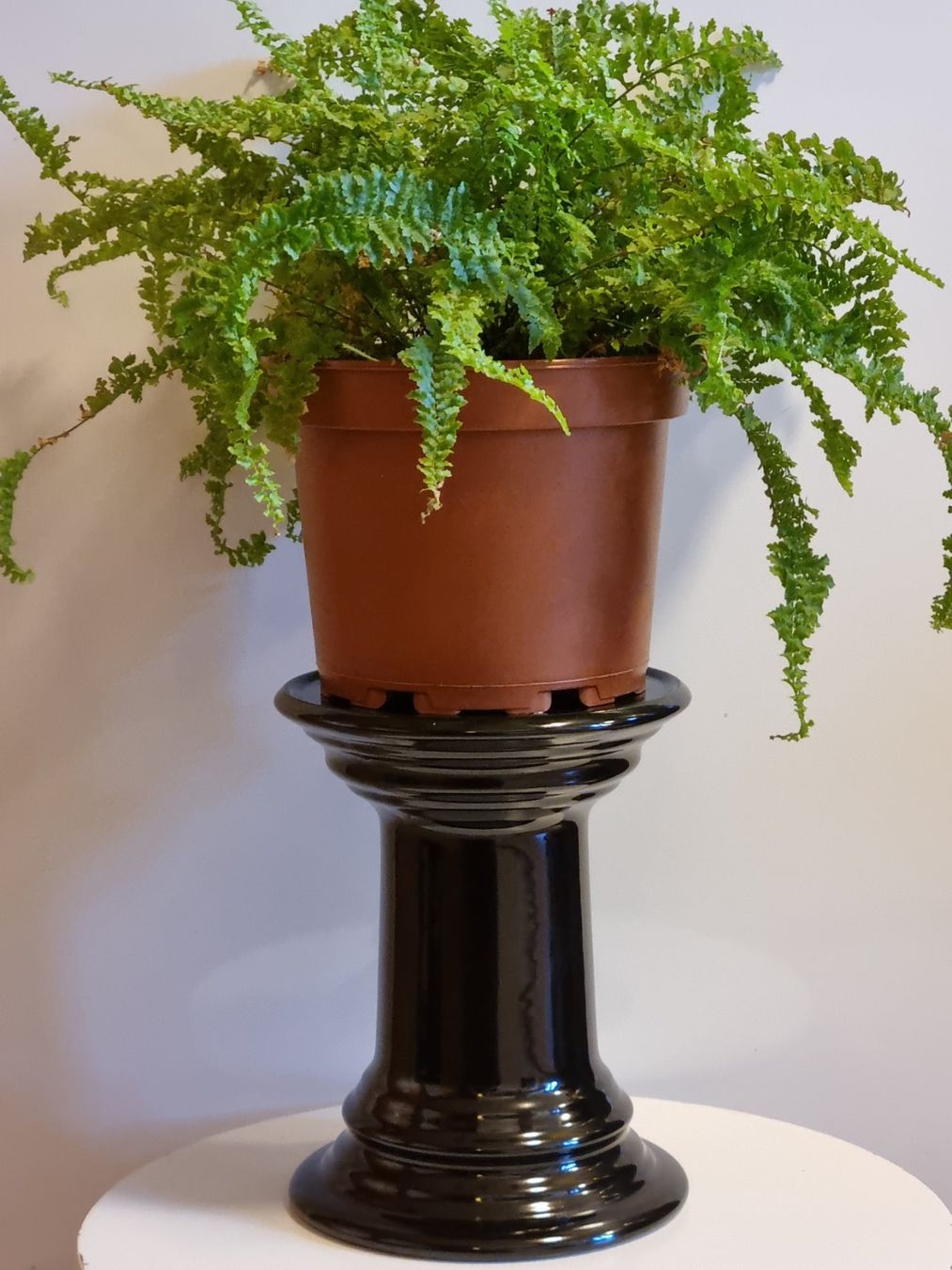 Altro in Decorazioni & Accessori: Schwarzer Keramik Pflanzenständer 18cm – Usato da Scharnachtal venduto da devin03 1