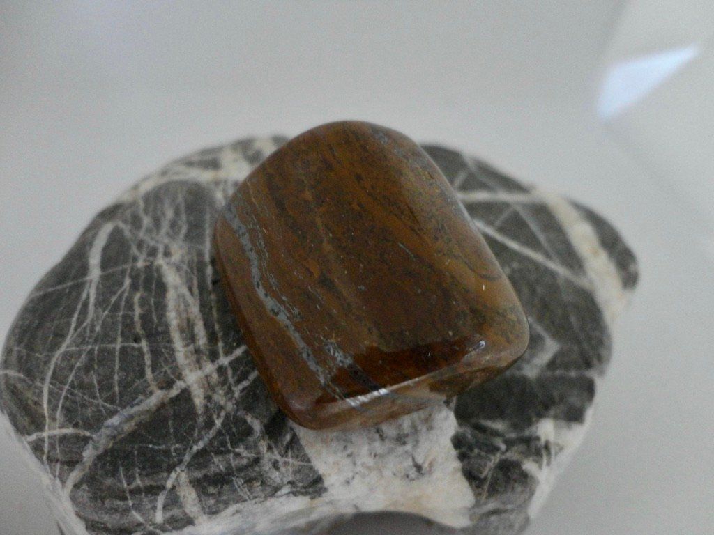 Minerali & Pietre curative: Tigereisen Heilstein – Nuovo (secondo la descrizione) da Biberist venduto da Steine 1