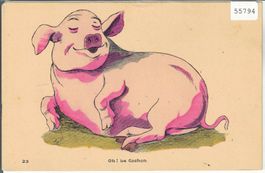 Das dicke Schwein - Oh! le Cochon - Künstlerkarte
