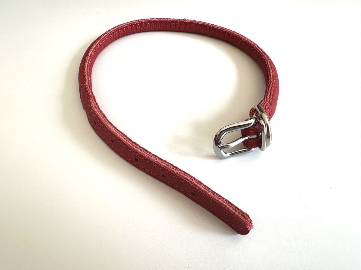 Rotes Hundehalsband (Neu (gemss Beschreibung)) in Lupsingen fr CHF 19   mit Lieferung auf Ricardo kaufen