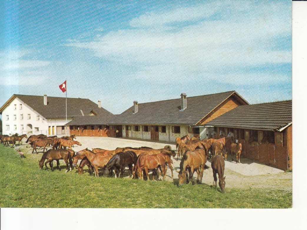 Cartoline postali: Les Roselet ca. 1970 – Usato da Bürglen TG venduto da StampGraf