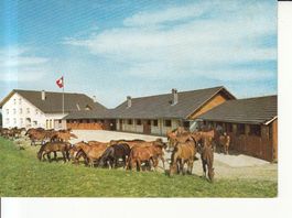 Les Roselet ca. 1970