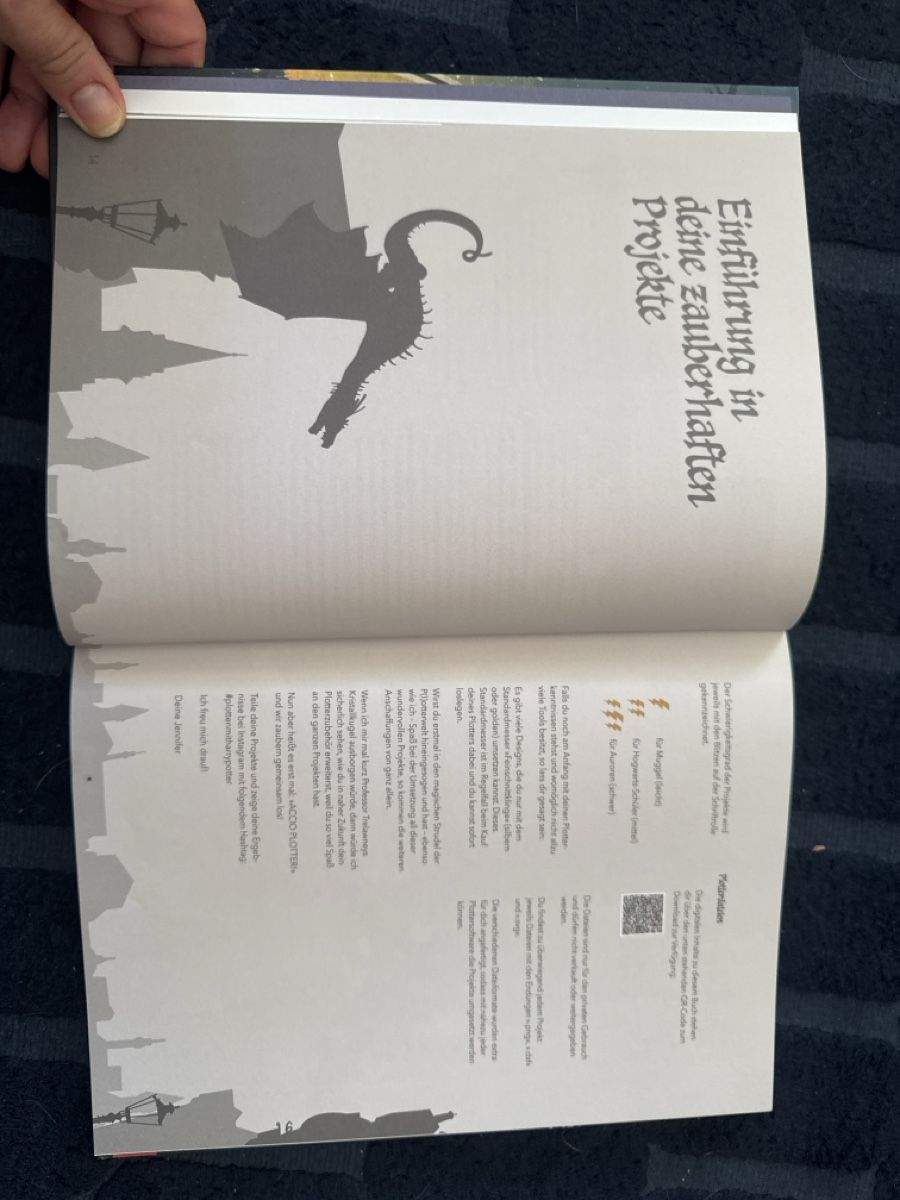 Libri: Plotten mit Harry Potter, Buch – Usato da Zürich venduto da szityu 4