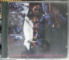 lenny kravitz