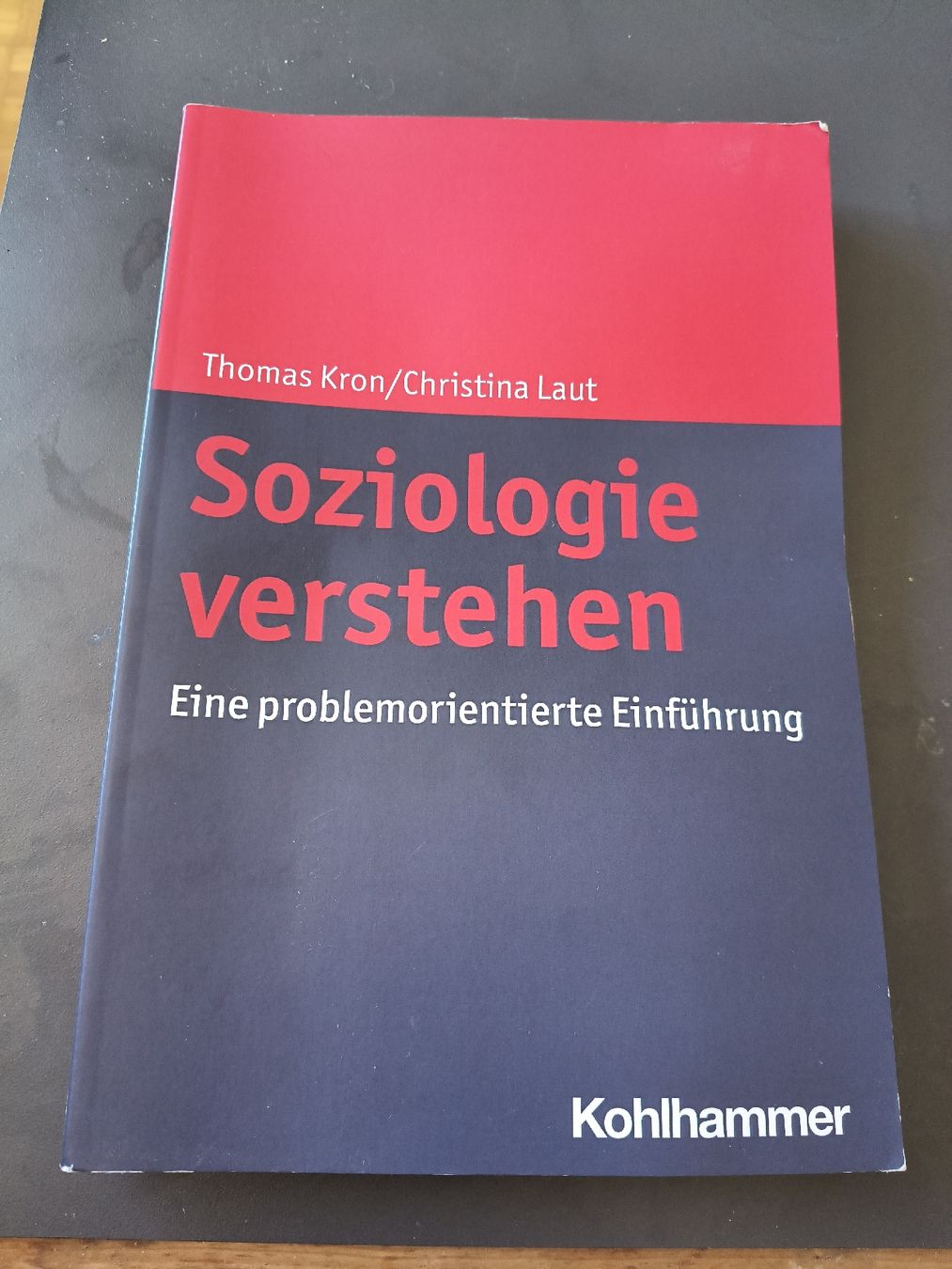 Libri: Buch Soziologie verstehen – Usato da Luzern venduto da val_9vv5