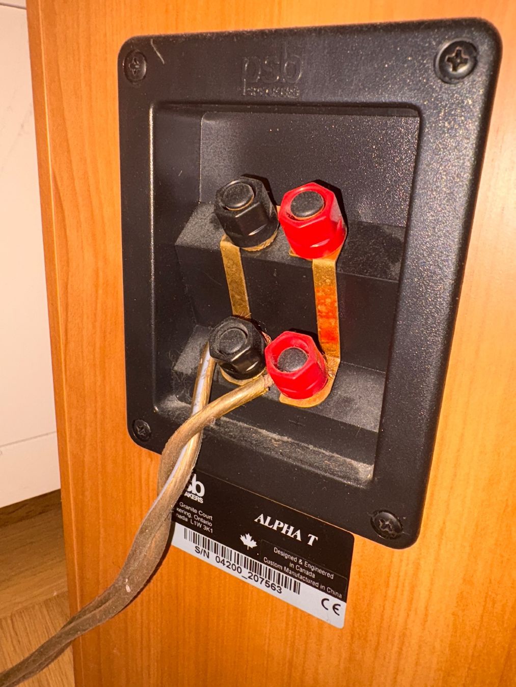 Psb Casse acustiche: PSB Speaker Paar – Usato da Basel venduto da Svenglas90 4