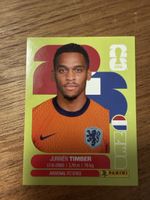 Panini Fifa NED 5