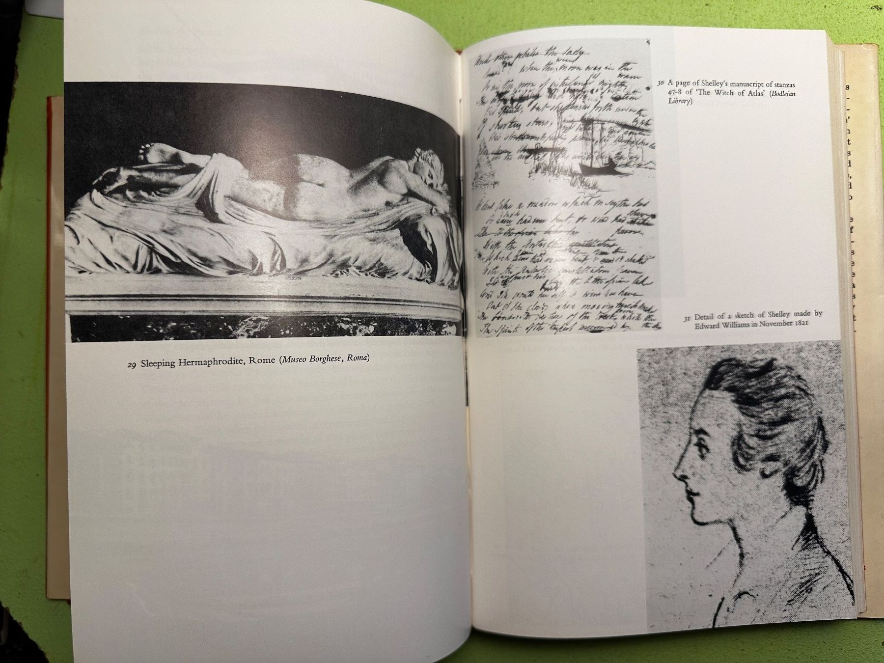 Libri: Richard Holmes: Shelley, the Pursuit. – Usato da Zürich venduto da allp 6