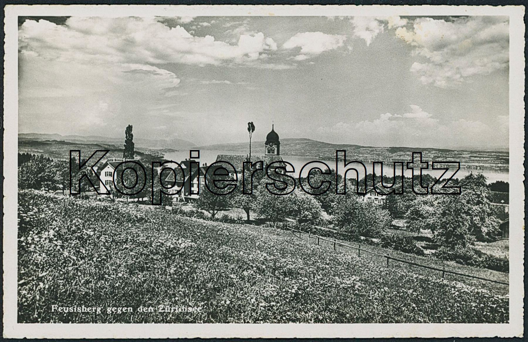 Cartoline postali: SZ Feusisberg – Nuovo (secondo la descrizione) da Schindellegi venduto da dolpitz
