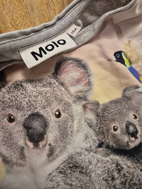 Camicie, T-shirt & Polo: Molo Shirt in 104 – Usato da Schänis venduto da Sonntagskind89 1