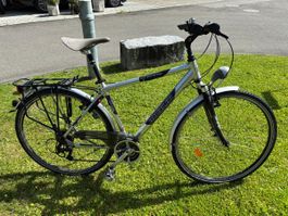 Wheeler Velo