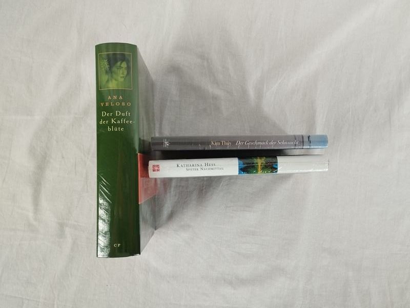 Libri: Sehnsuchts-Romane 3 Stück – Nuovo (secondo la descrizione) da Schübelbach venduto da Restwert_Schubelbach 2