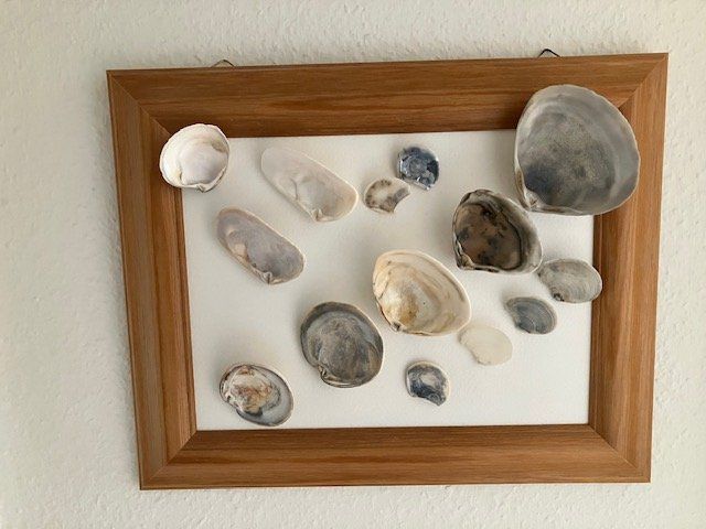 Alle Dekorationen: Wunderbares Stimmungsbild mit Muscheln – Gebraucht aus Zürich von JanetT01