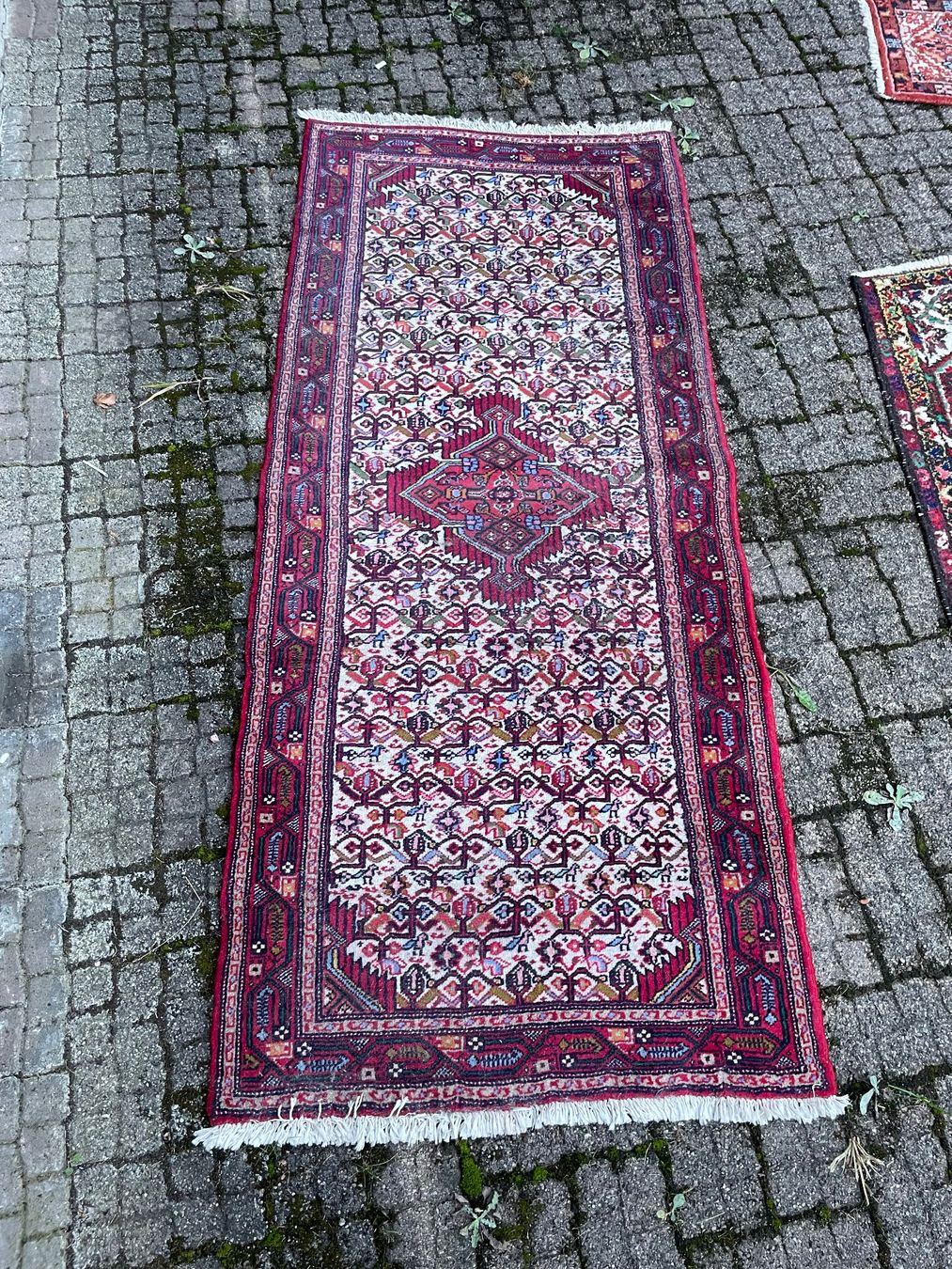 Tapis: Teppich – D'occasion à Frümsen par Pescatore3