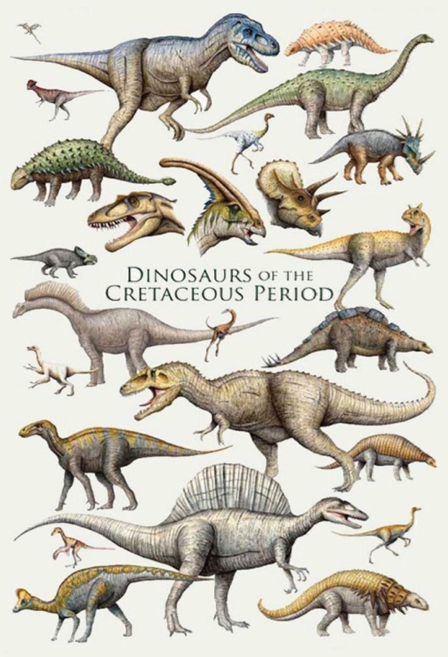 Ecriteaux: Blechschild-DINOSAURS CREATACEOUS PERIOD – Neuf avec emballage d'origine à Rupperswil par big-one-sale