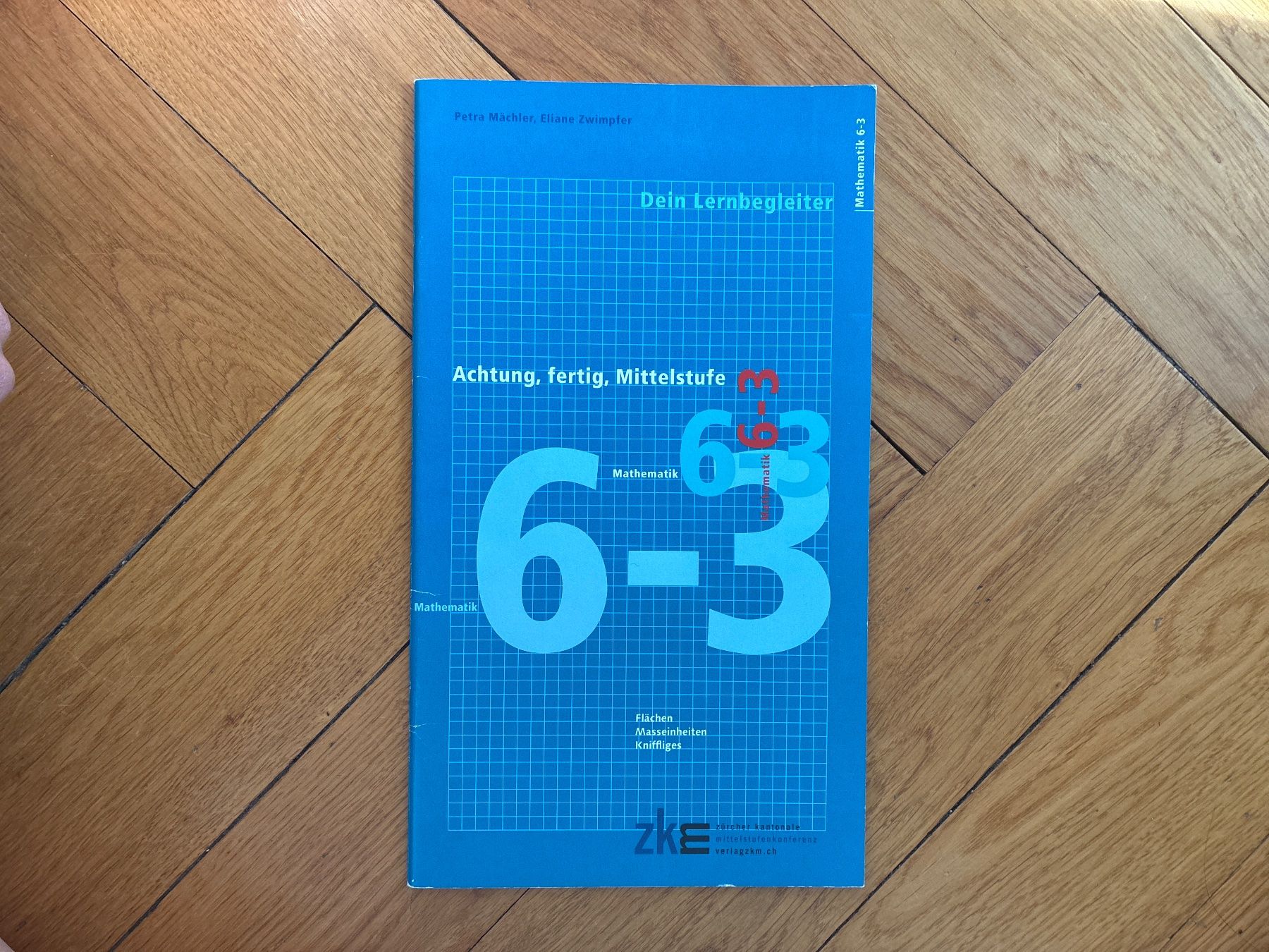 Libri: ZKM Mathematik 6-3 Dein Lernbegleiter – Usato da Zollikon venduto da mythenschloss