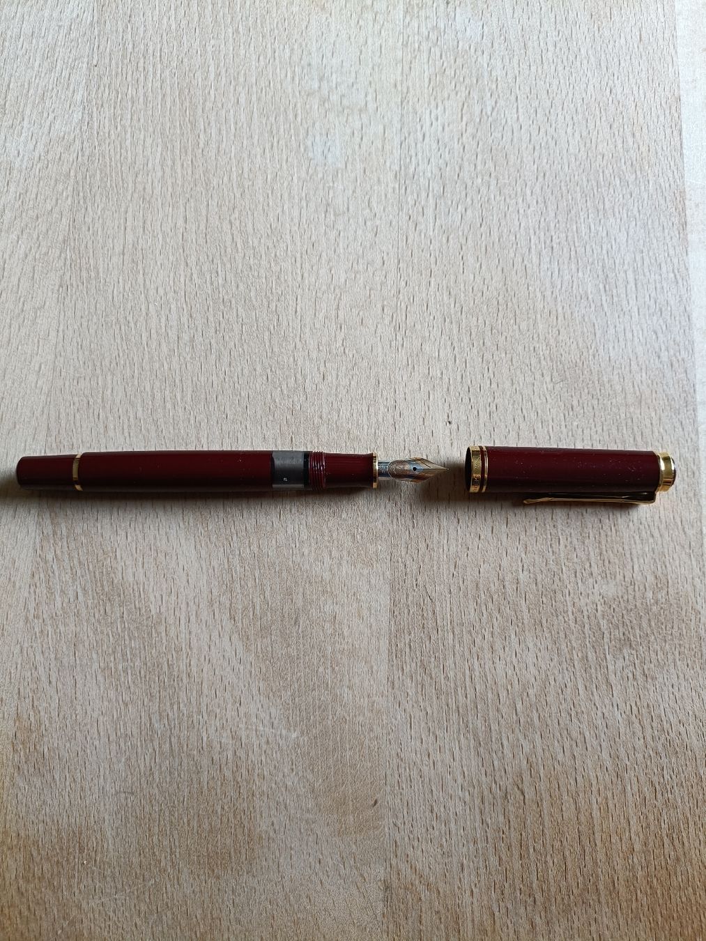 Il mondo degli animali: Pelikan M600 Füllfederhalter – Usato da Landquart venduto da Werma1 2