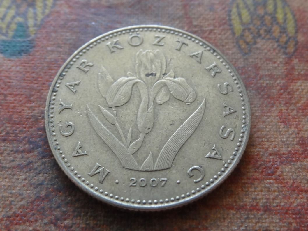 Toutes les monnaies: HONGRIE  20  Forint  2007 – D'occasion à Romanel-sur-Lausanne par Swift13