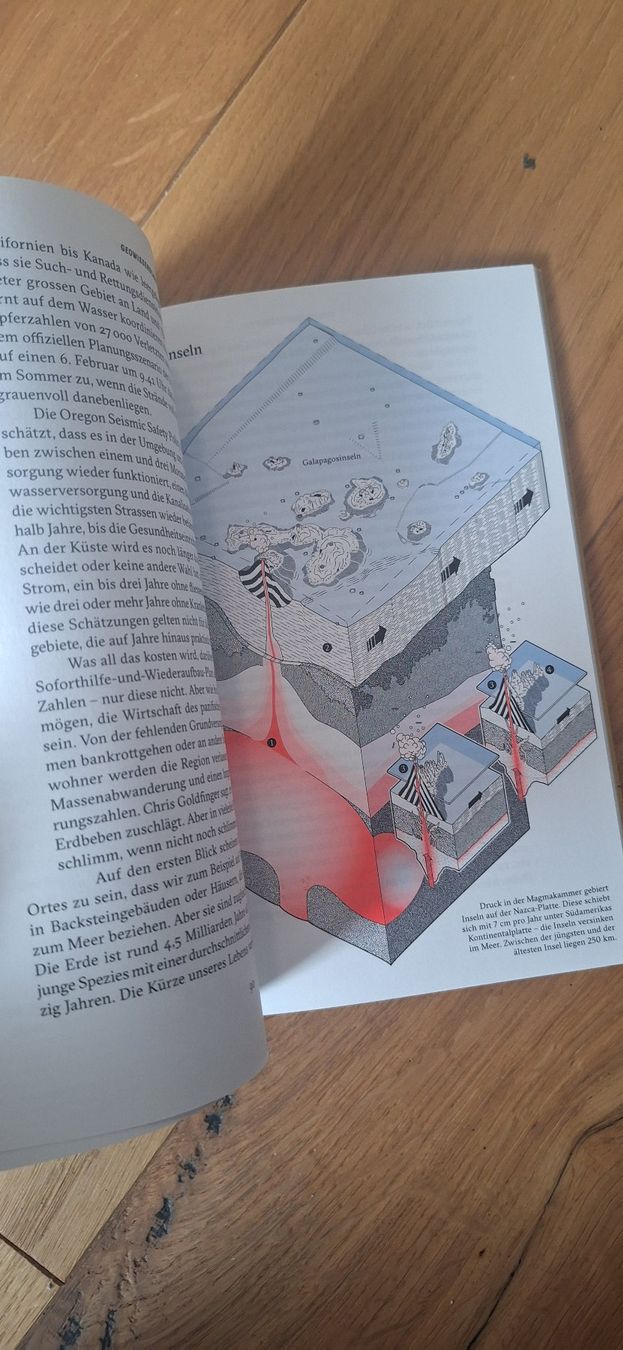 Riviste & Magazine: Reportagen #30 – Usato da Olten venduto da Ahandreina 1