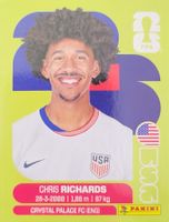 Panini FIFA World Cup USA 3
