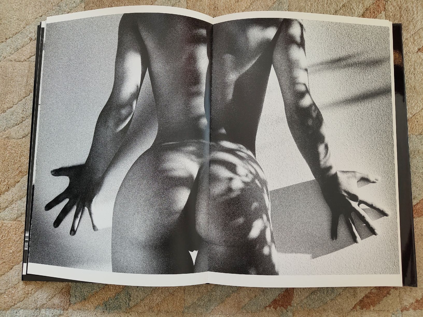 Libri: Obsessions - Tony Ward - Aktfotographie – Usato da Zürich venduto da Almohammed 4