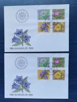FDC PJ 1991