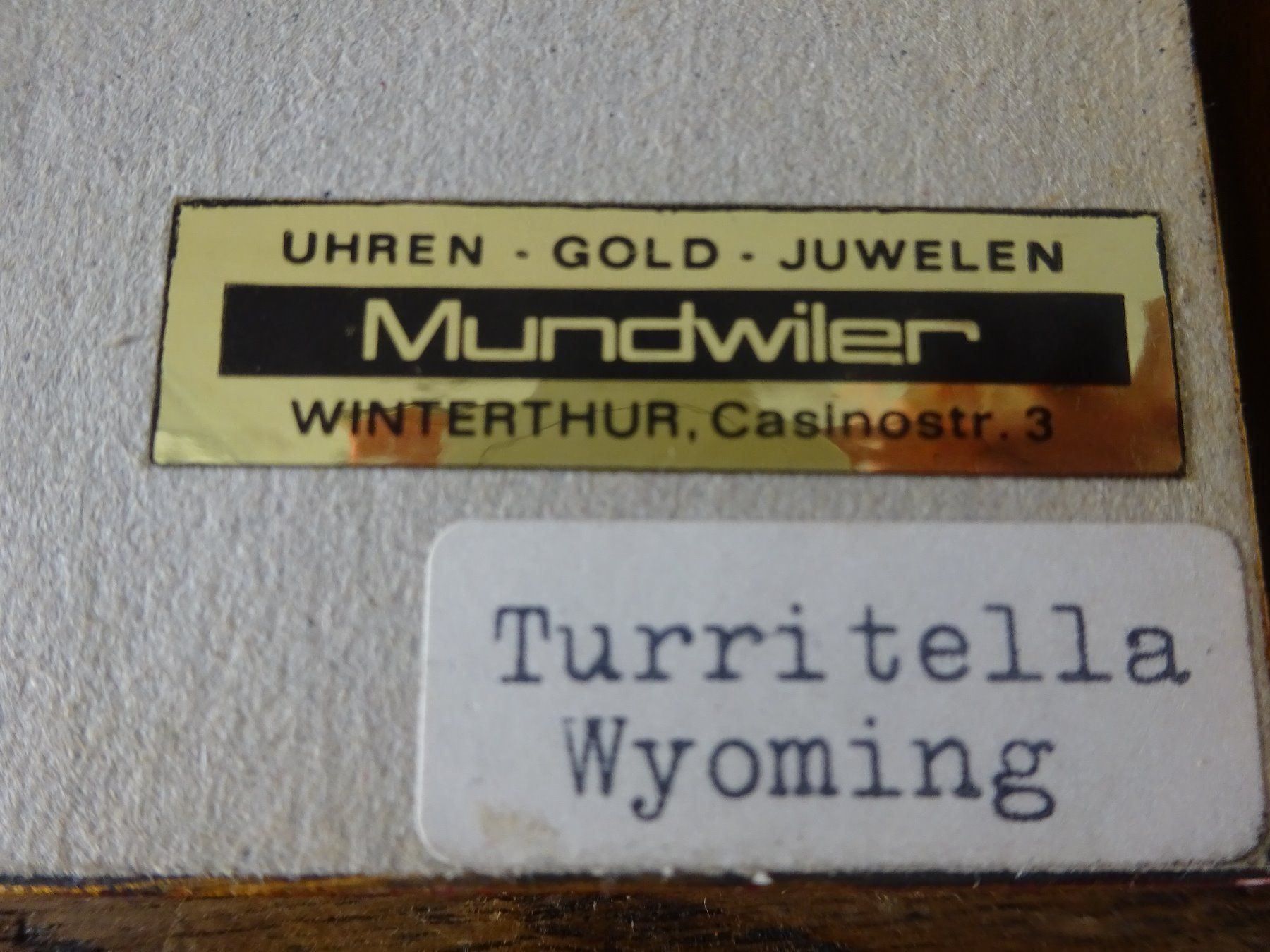 Minerali & Pietre curative: 8 gefasste Mineralien / Sammlung Steine – Usato da Esslingen venduto da eintagammeer 7