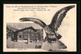 Bürglen, Gasthaus Adler, Präparierter 