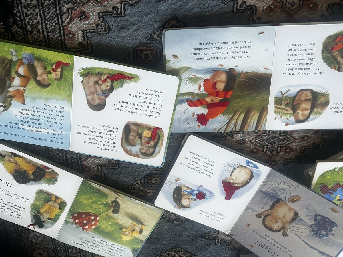 Libri: 4 bücher von der kleine Igel – Usato da Uster venduto da bek_v2ct 2