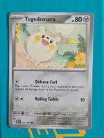 Togedemaru - Pokemon Obsidian Flames
