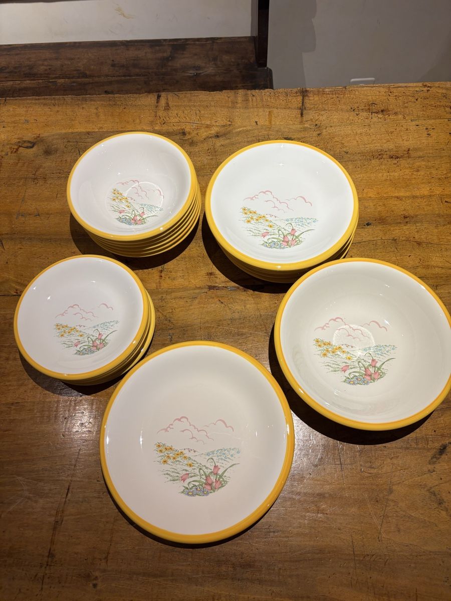 Geschirrsets: Set di piatti -per sei persone -  vintage con decoro – Gebraucht aus Vezia von rit_7ypb 2