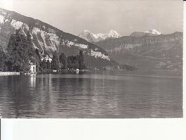 Gunten 1960