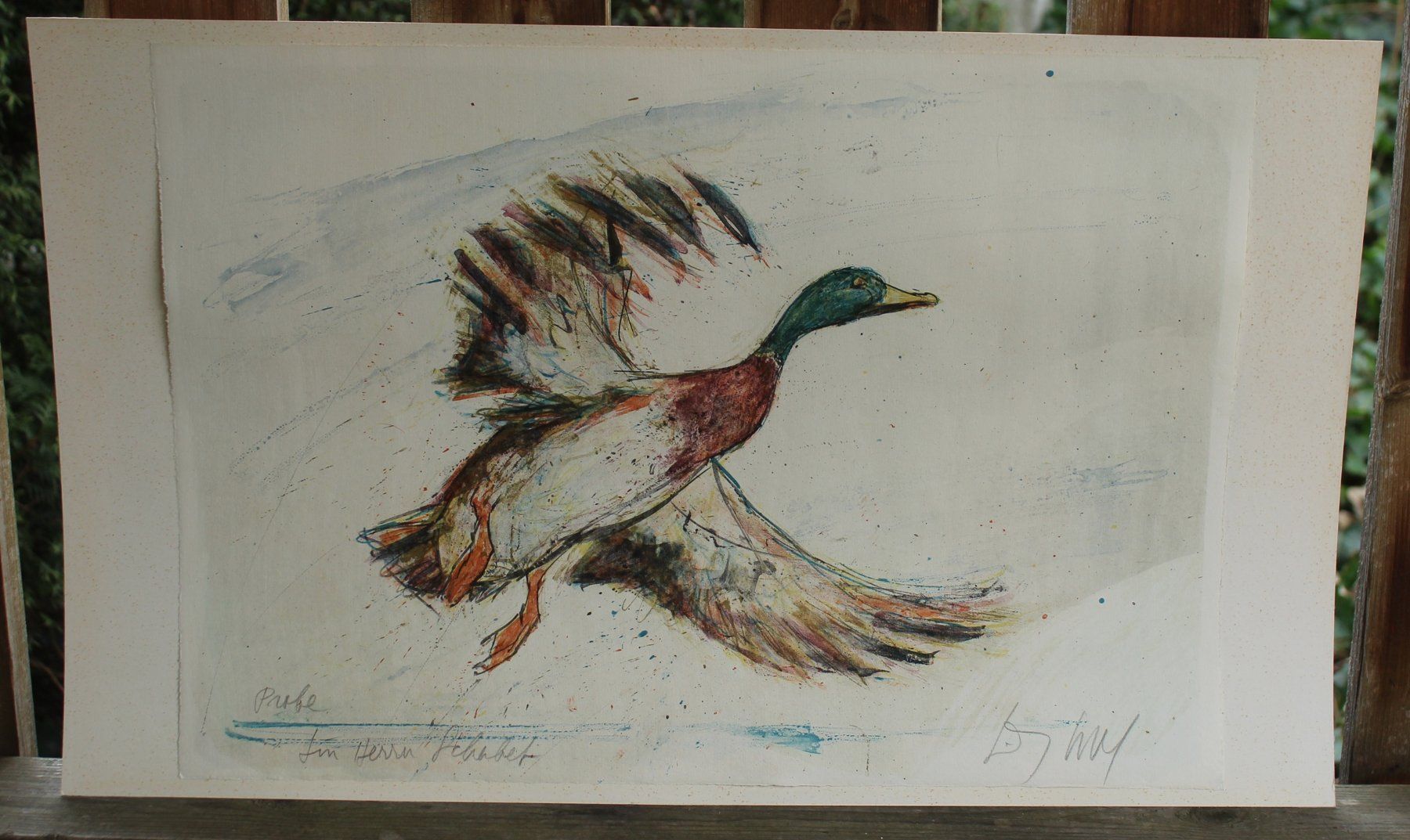 Grafica & Litografie: Fritz Hug Original Litho Ente Probe Widmung Handsigniert – Usato da Zürich venduto da Auctionata 1