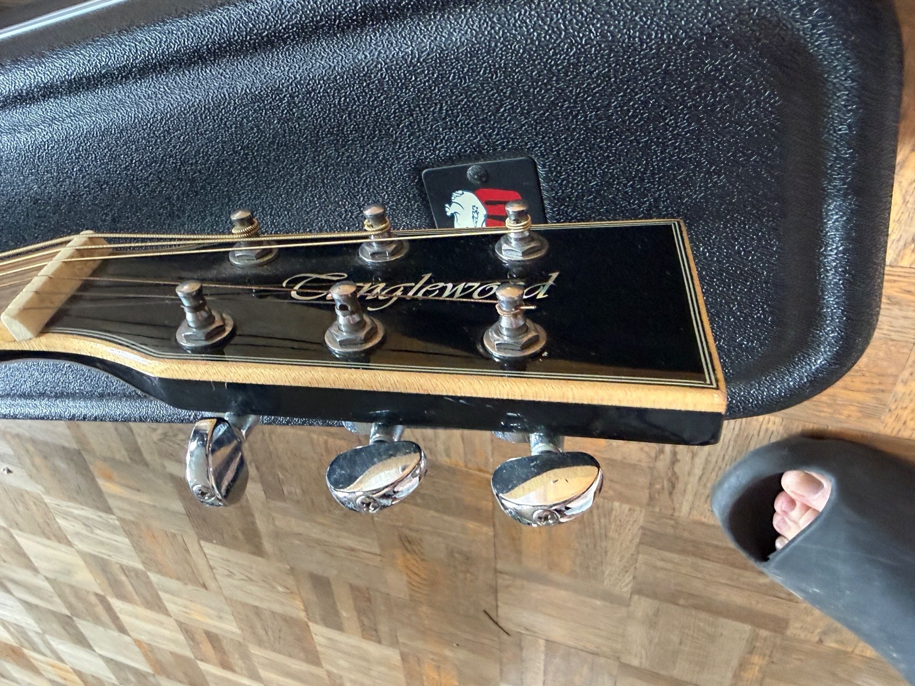 Strumenti musicali: Elektro-Akustikgitarre mit Fishman & Gator Koffer – Usato da Schaffhausen venduto da jplunkett 3