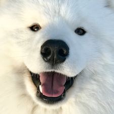 Profile image of melimelaie