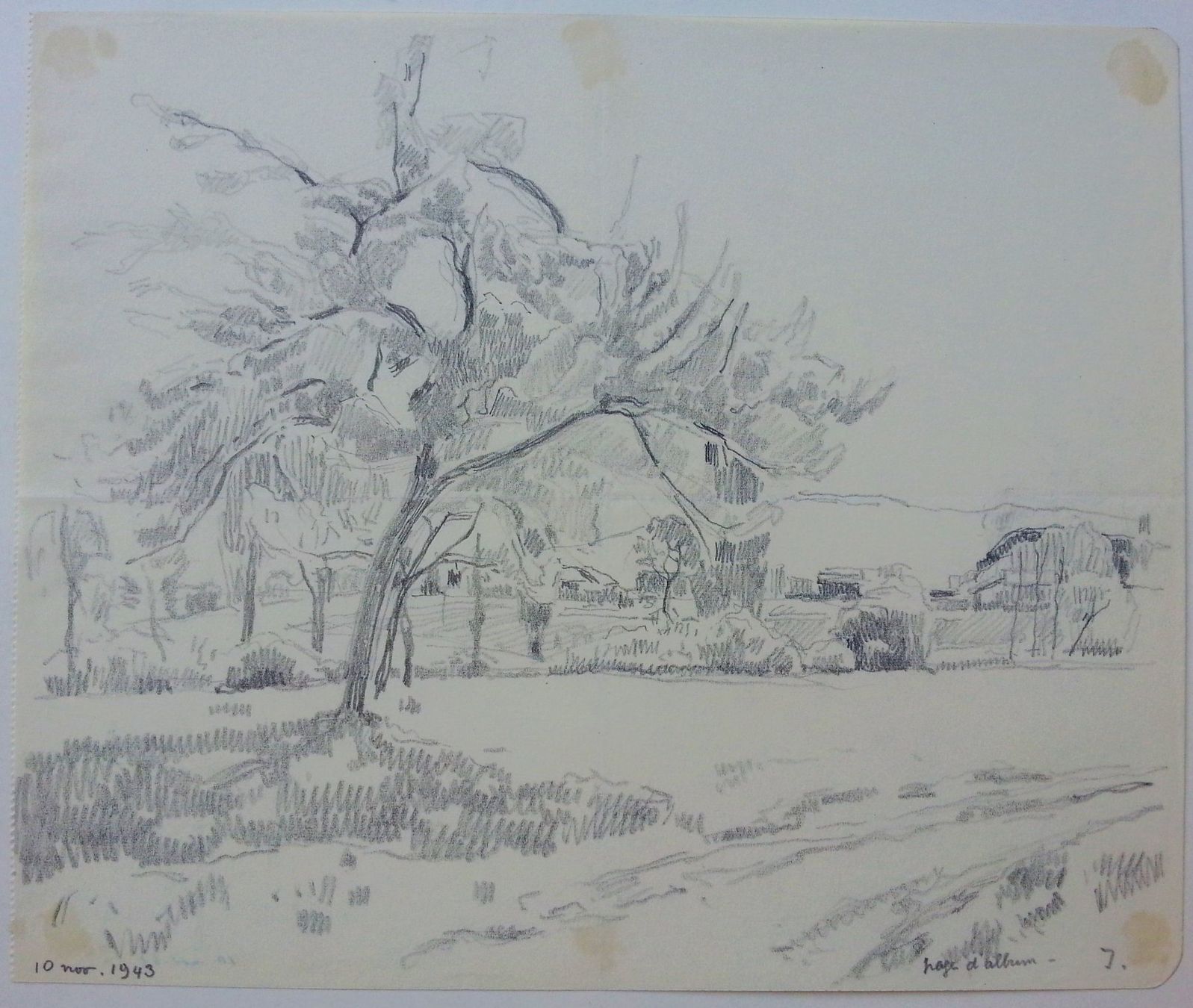 Gemälde: Jacques Jacobi: Zeichnung Bleistiftzeichnung Baum, 1943 – Gebraucht aus Oberriet SG von Manick