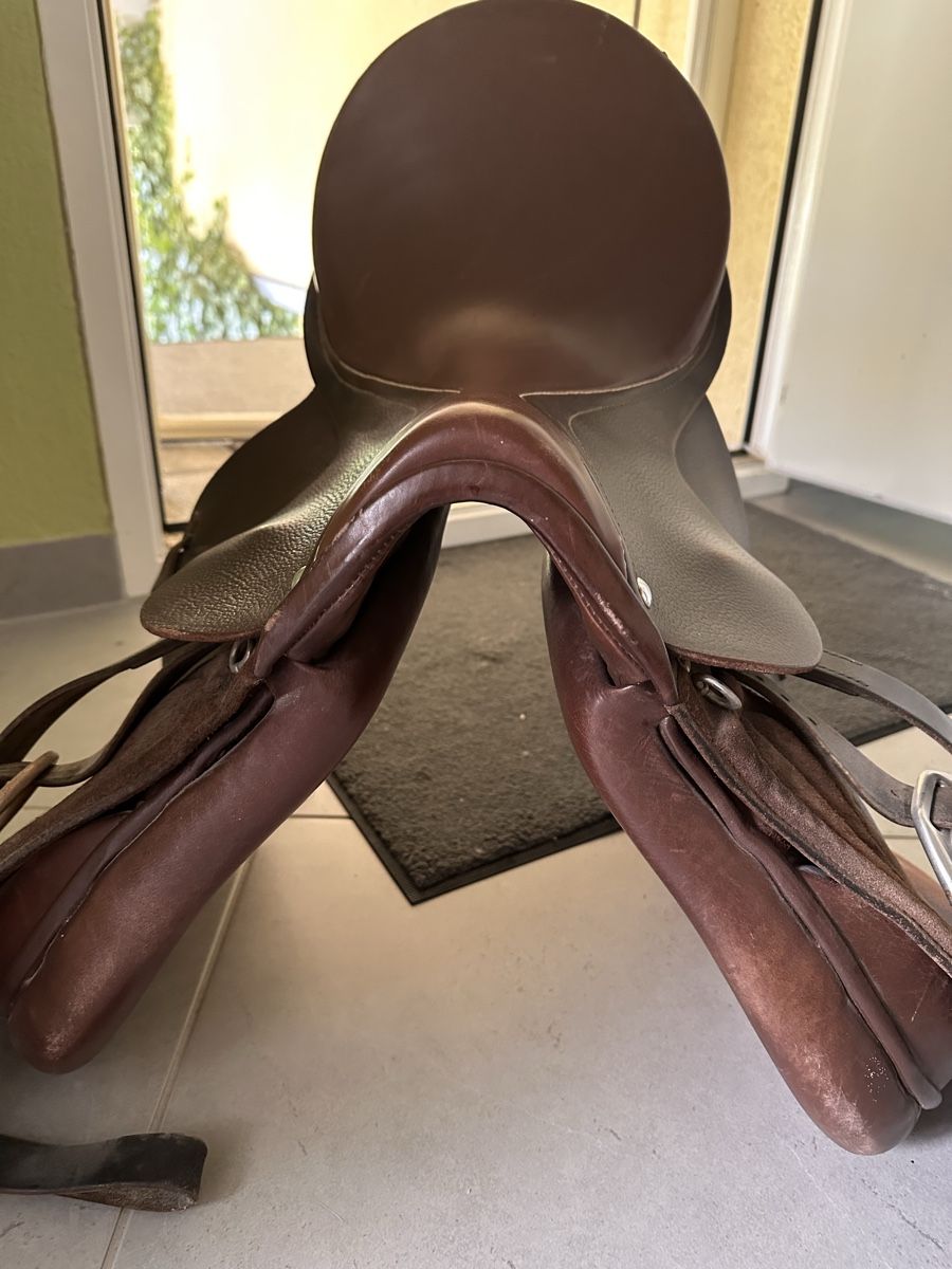 Selle & Accessori: Sattel – Usato da Egliswil venduto da Herculea 3