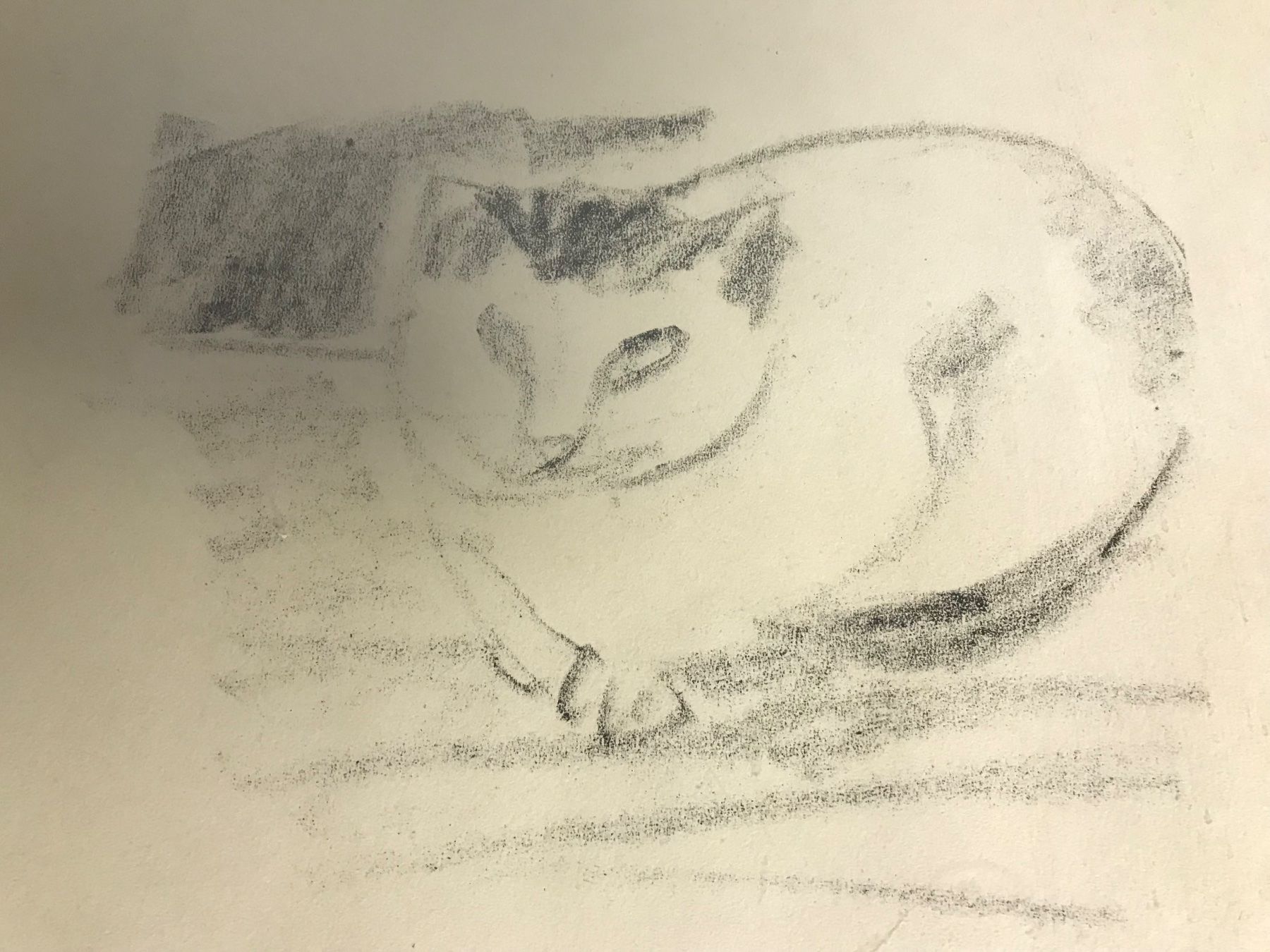 Grafica & Litografie: Litho 2 Katzen, gerahmt, signiert – Usato da winterthur venduto da Grami1 1