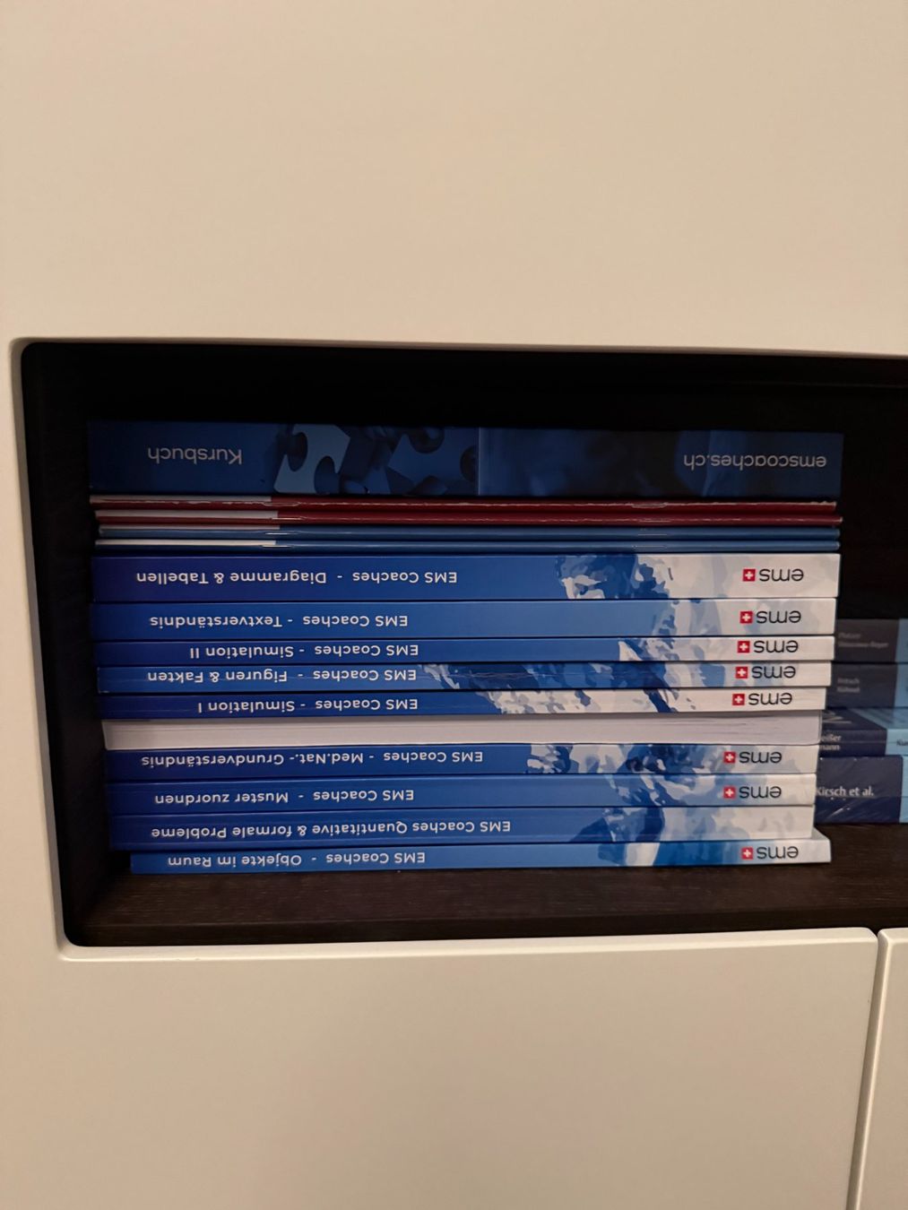 Libri: EMS Gesamtpaket 2025 – Usato da Zürich venduto da katleyacharron