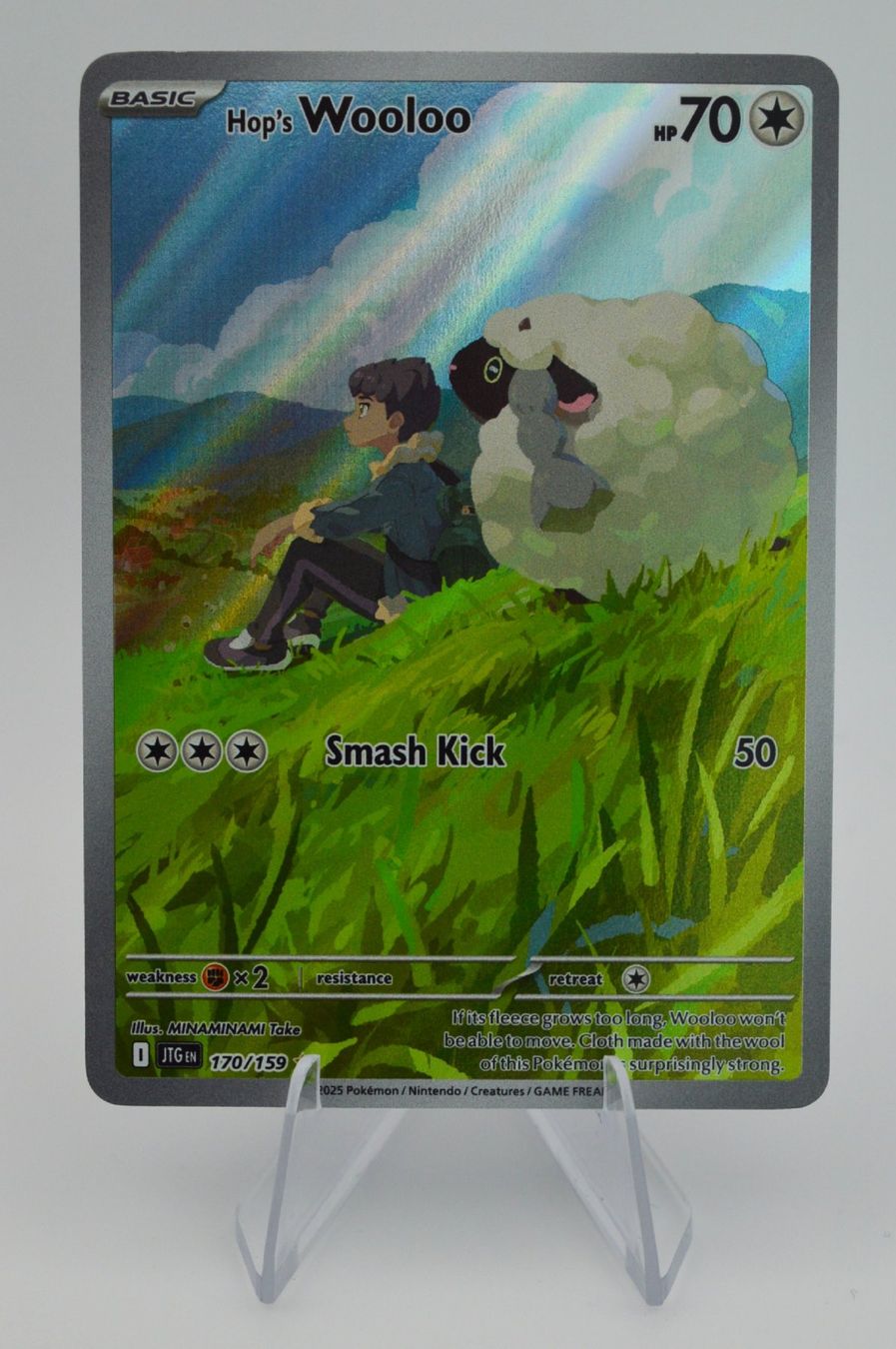 Pokémon Cartes à collectionner: Hops Wooloo - JT 170/159 - EN - Pokémon – D'occasion à Winterthur par blue_funk