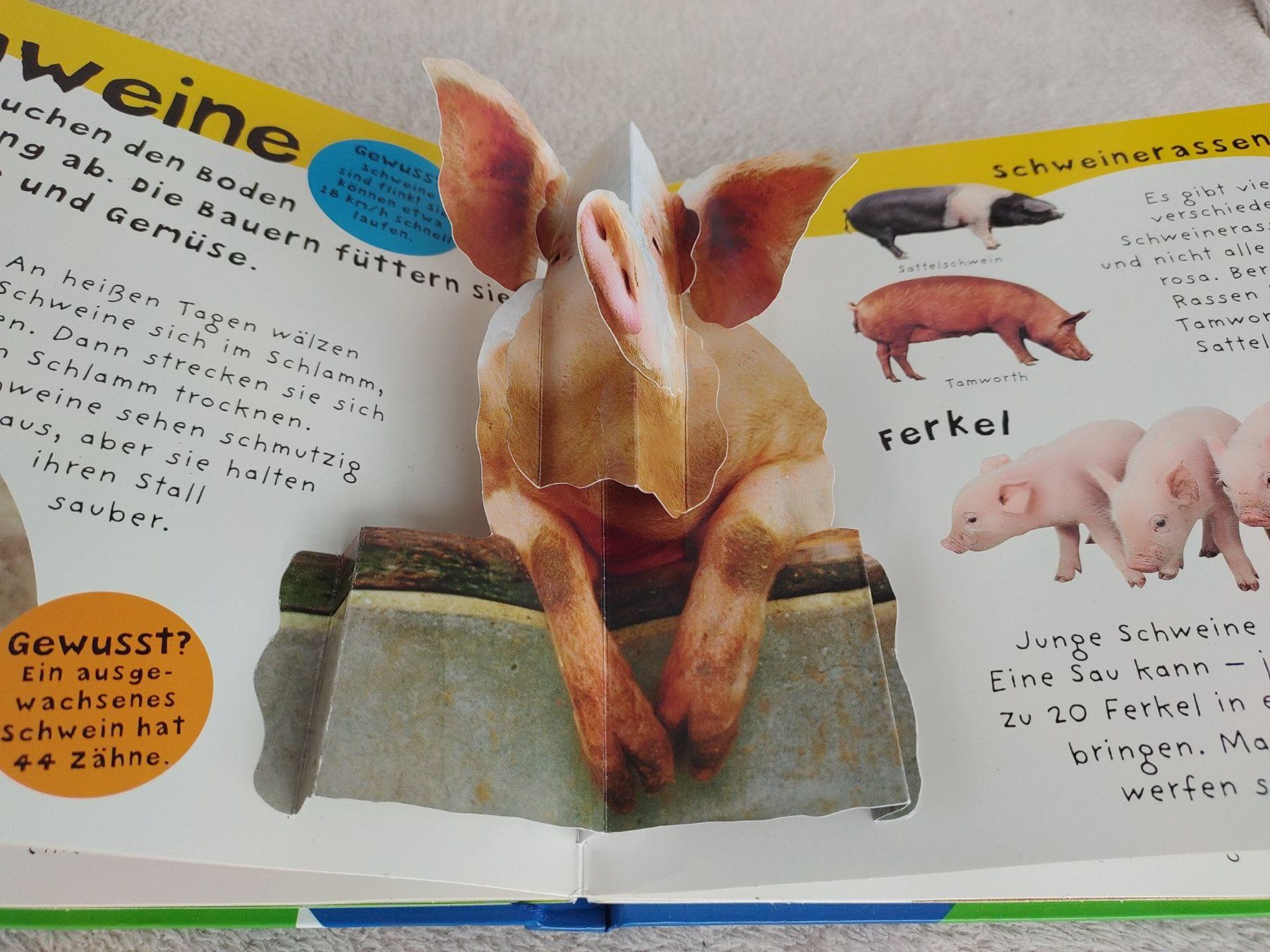Libri: Pop-Up Wissen Bauernhof – Usato da Strengelbach venduto da Phorensic_30 4