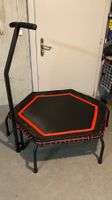 Trampolin mit Haltestange