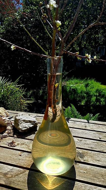 Vasi & Recipienti: Blumenvase, Bodenvase – Usato da Bern venduto da chs_9kyd 4