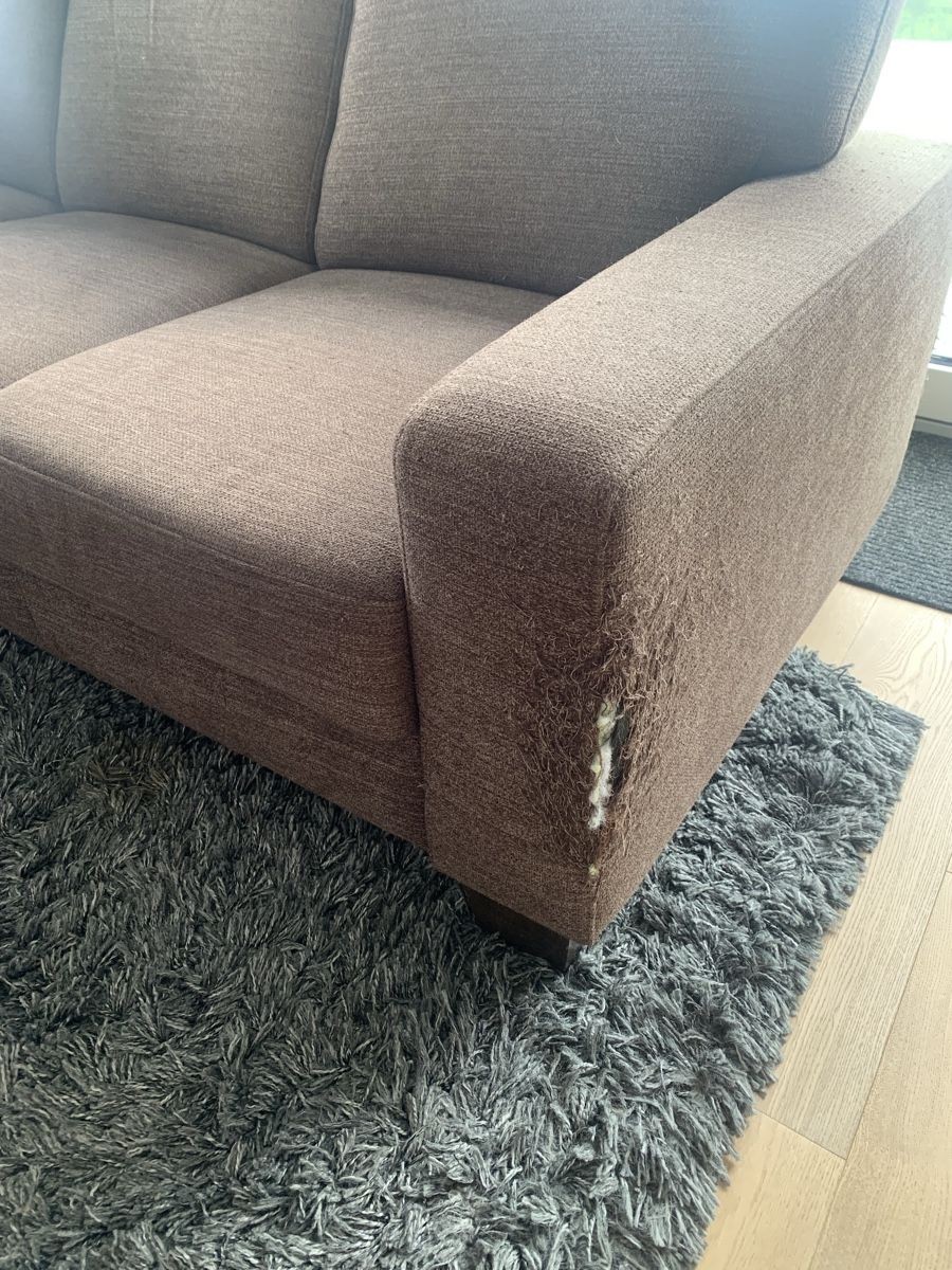 Divani: Ecksofa braun mit Schlaffunktion (Siehe Fotos) – Usato da Immensee venduto da vgitter 6