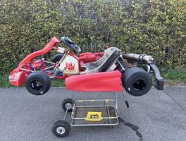 Verkaufe meinen gepflegten Birel Racing Kart mit TM Racing M