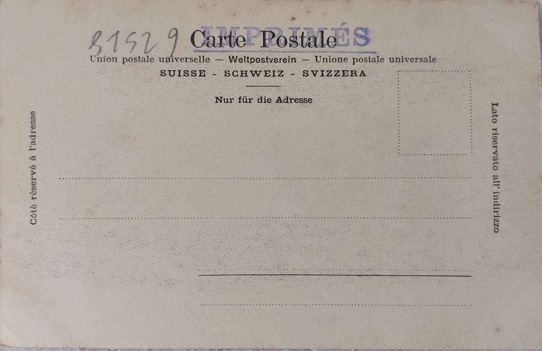Cartoline postali: BIENNE - Le Lac - Île St-Pierre – Usato da Delémont venduto da Domdom1 1