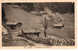 Leysin 1925